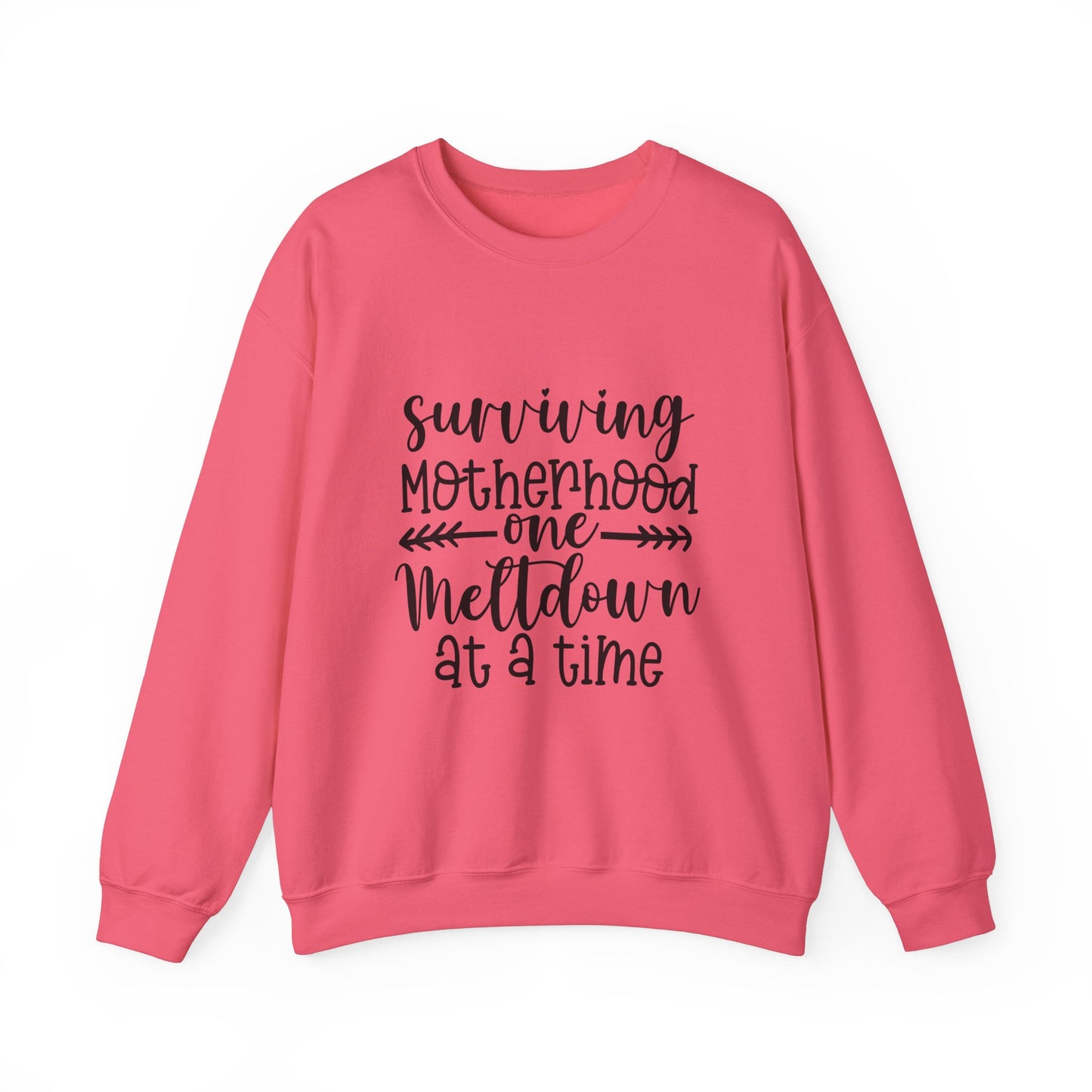 Surviving Motherhood Crewneck Sweatshirt - Cozy Gift for Moms