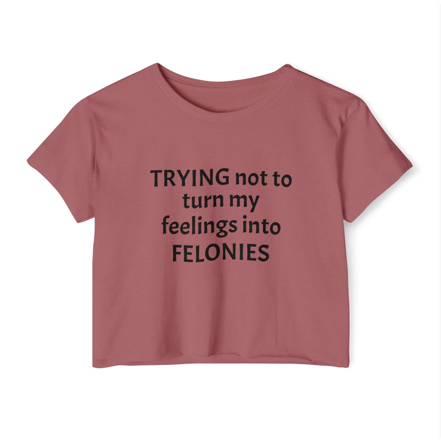 Festival Crop Top, Women's Casual Tee, Funny Graphic Top, Party Wear, Summer Vibes, Gift for Friends