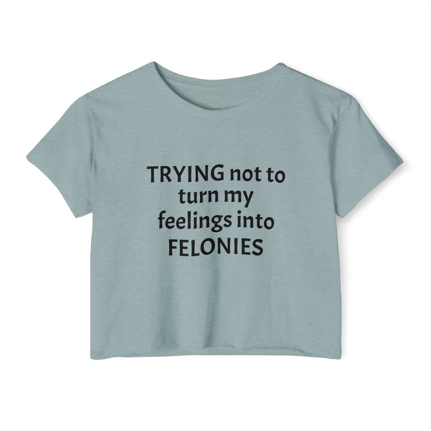 Festival Crop Top, Women's Casual Tee, Funny Graphic Top, Party Wear, Summer Vibes, Gift for Friends