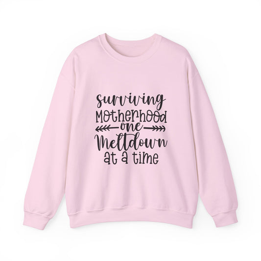 Surviving Motherhood Crewneck Sweatshirt - Cozy Gift for Moms
