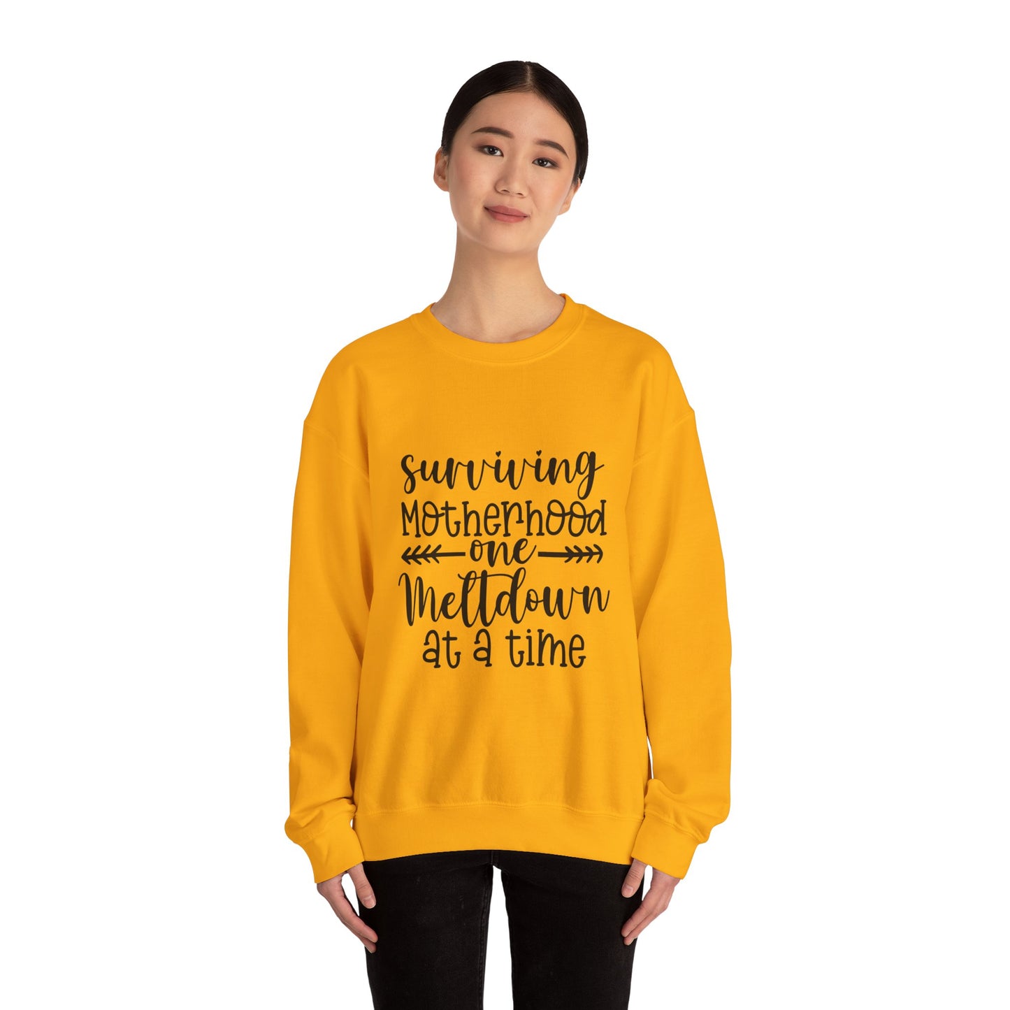Surviving Motherhood Crewneck Sweatshirt - Cozy Gift for Moms