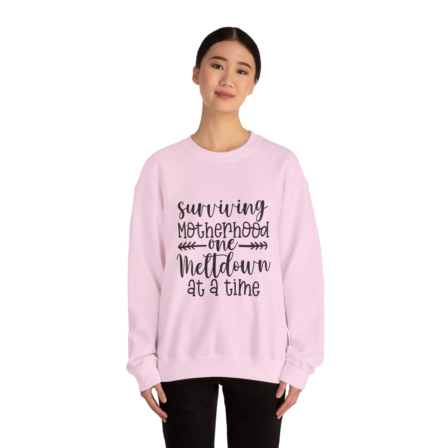 Surviving Motherhood Crewneck Sweatshirt - Cozy Gift for Moms