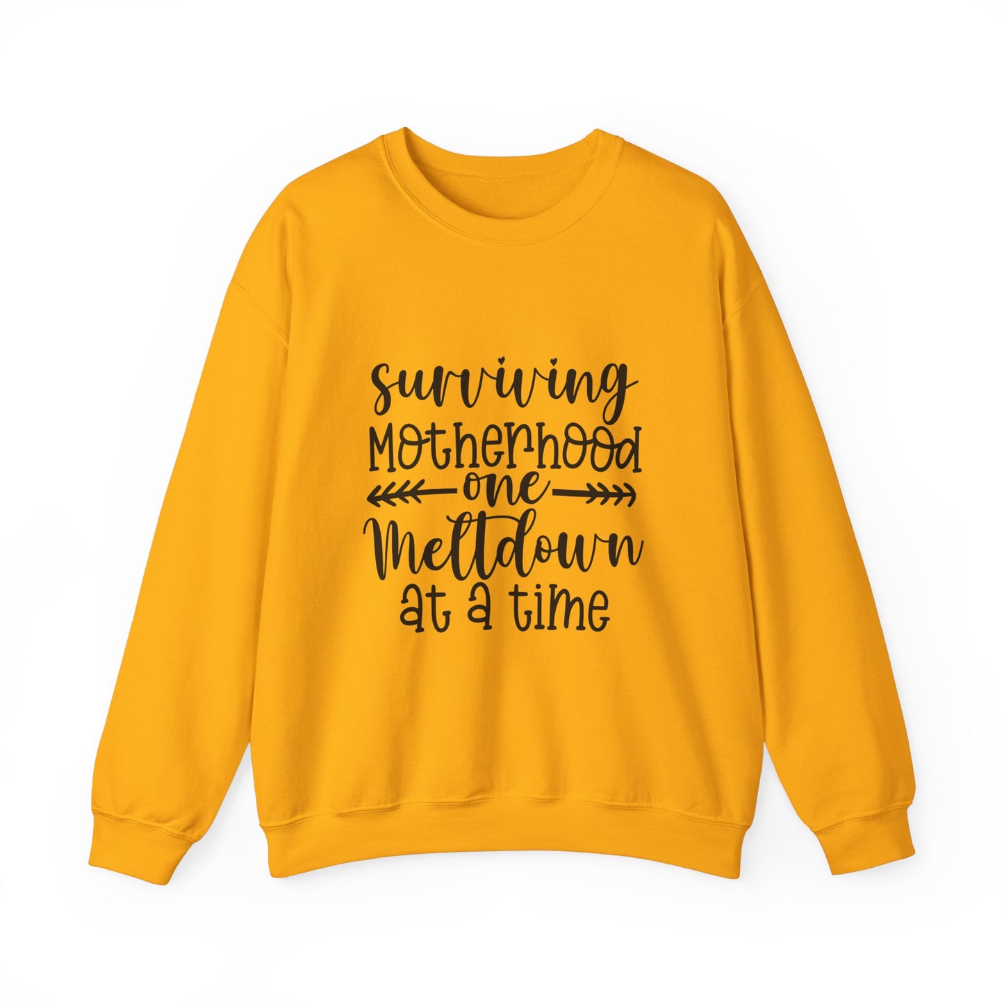 Surviving Motherhood Crewneck Sweatshirt - Cozy Gift for Moms