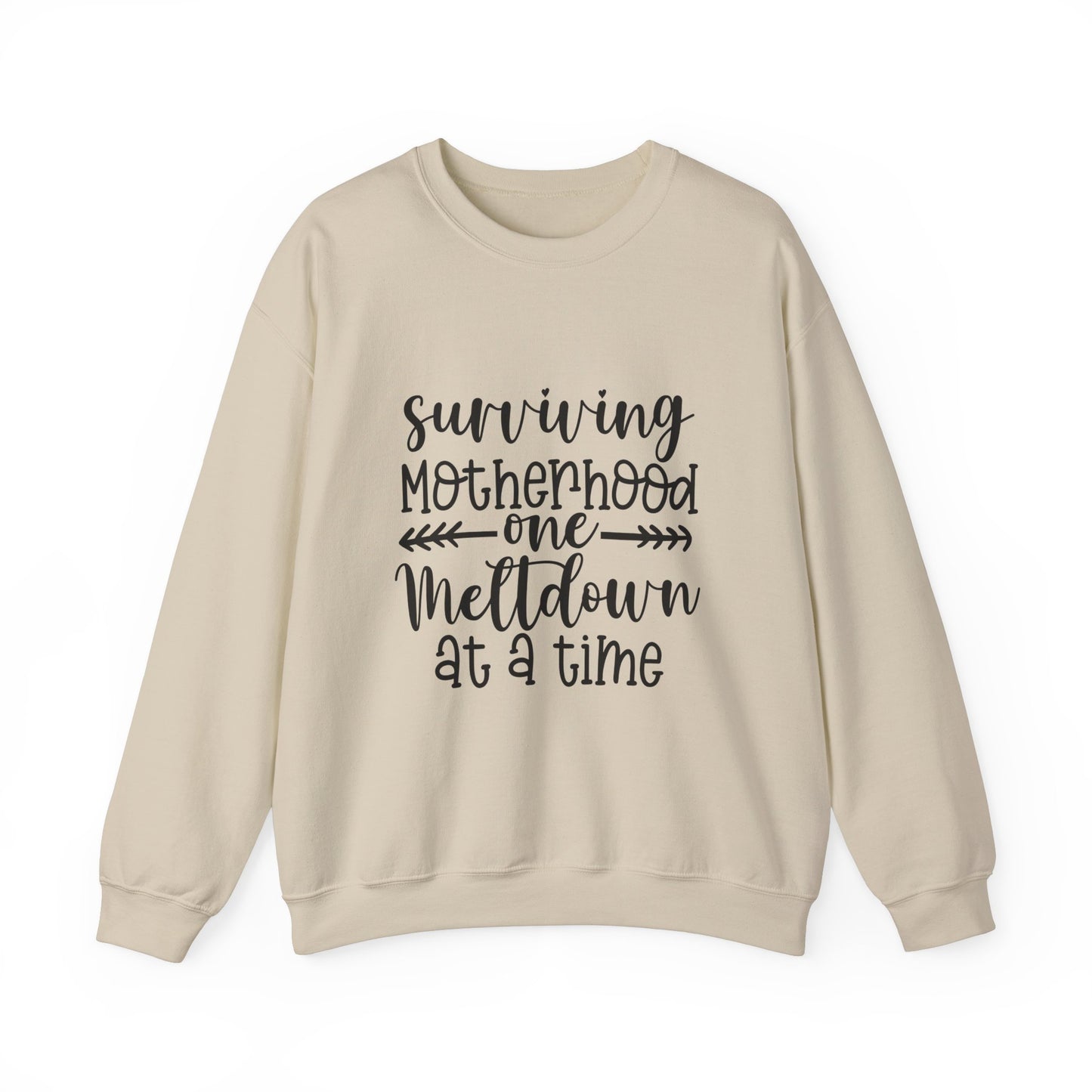Surviving Motherhood Crewneck Sweatshirt - Cozy Gift for Moms
